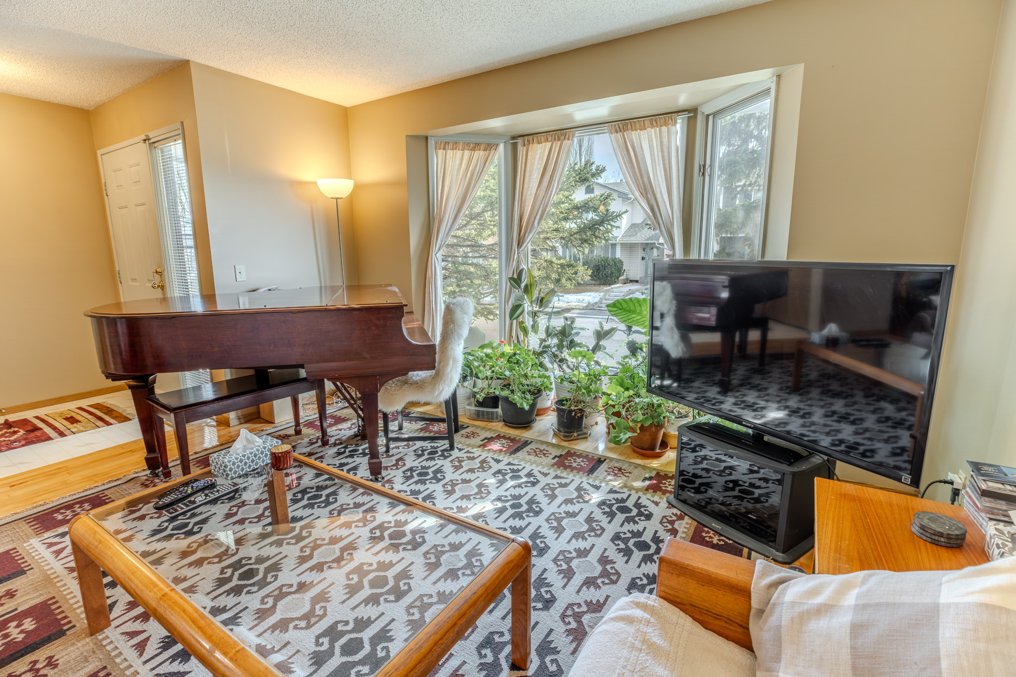 20260320-DSC0028515-HDR