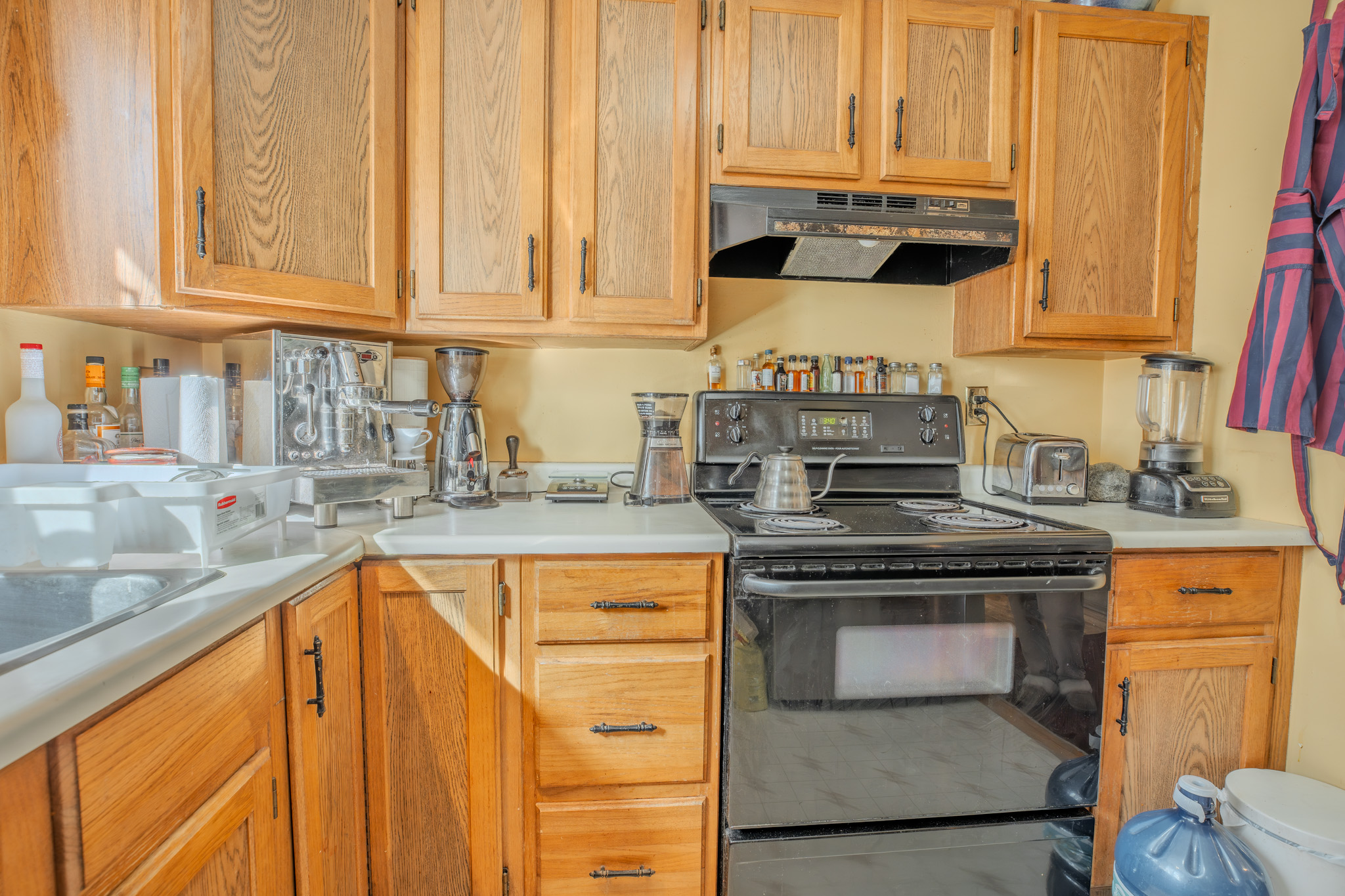 20260320-DSC0037415-HDR